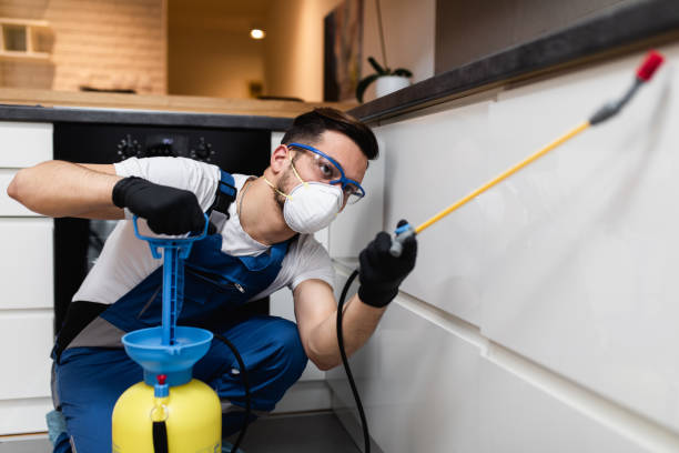 Best Cockroach Control Services  in Maeser, UT