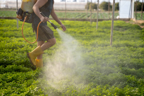 Best Mosquito Control Services  in Maeser, UT