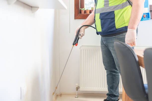 Best Flea Control Services  in Maeser, UT